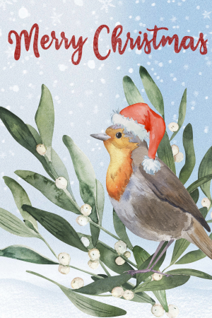 Christmas Robin