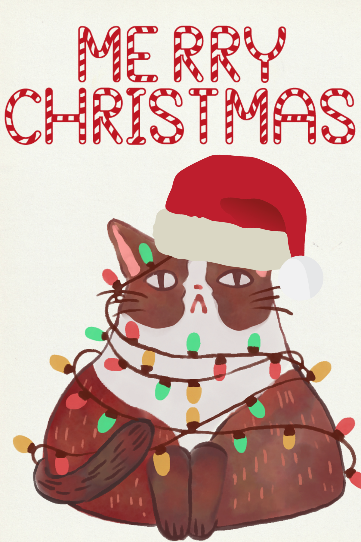 Christmas Cat
